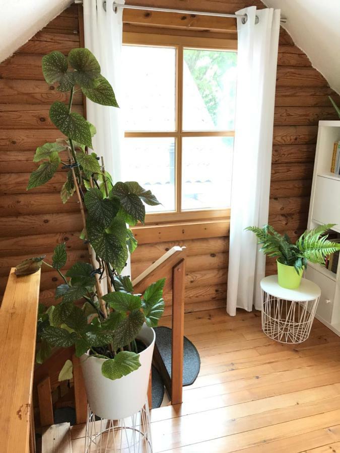 Eifel-Lounge Blockhaus Mit Kamin Garten Balkon Nahe Koeln Therme Bruehl Phantasialand Weilerswist Exterior foto